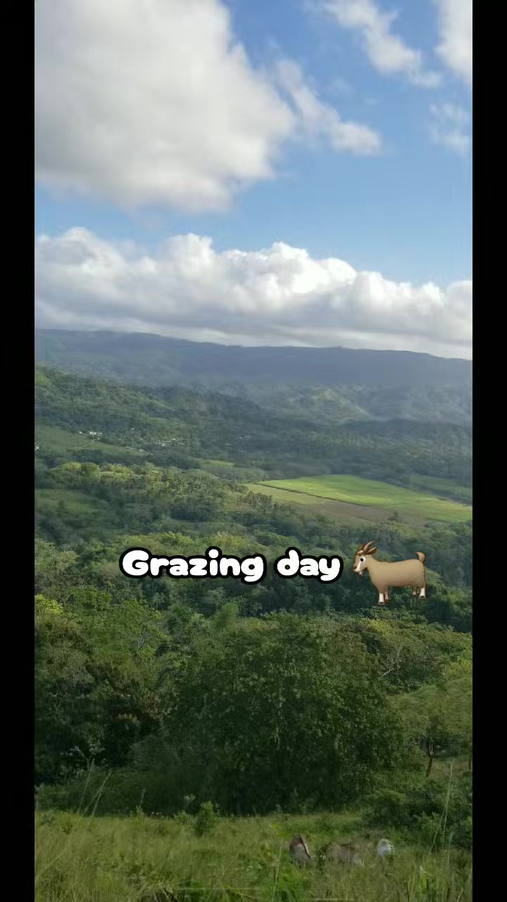 @Goat Ranch