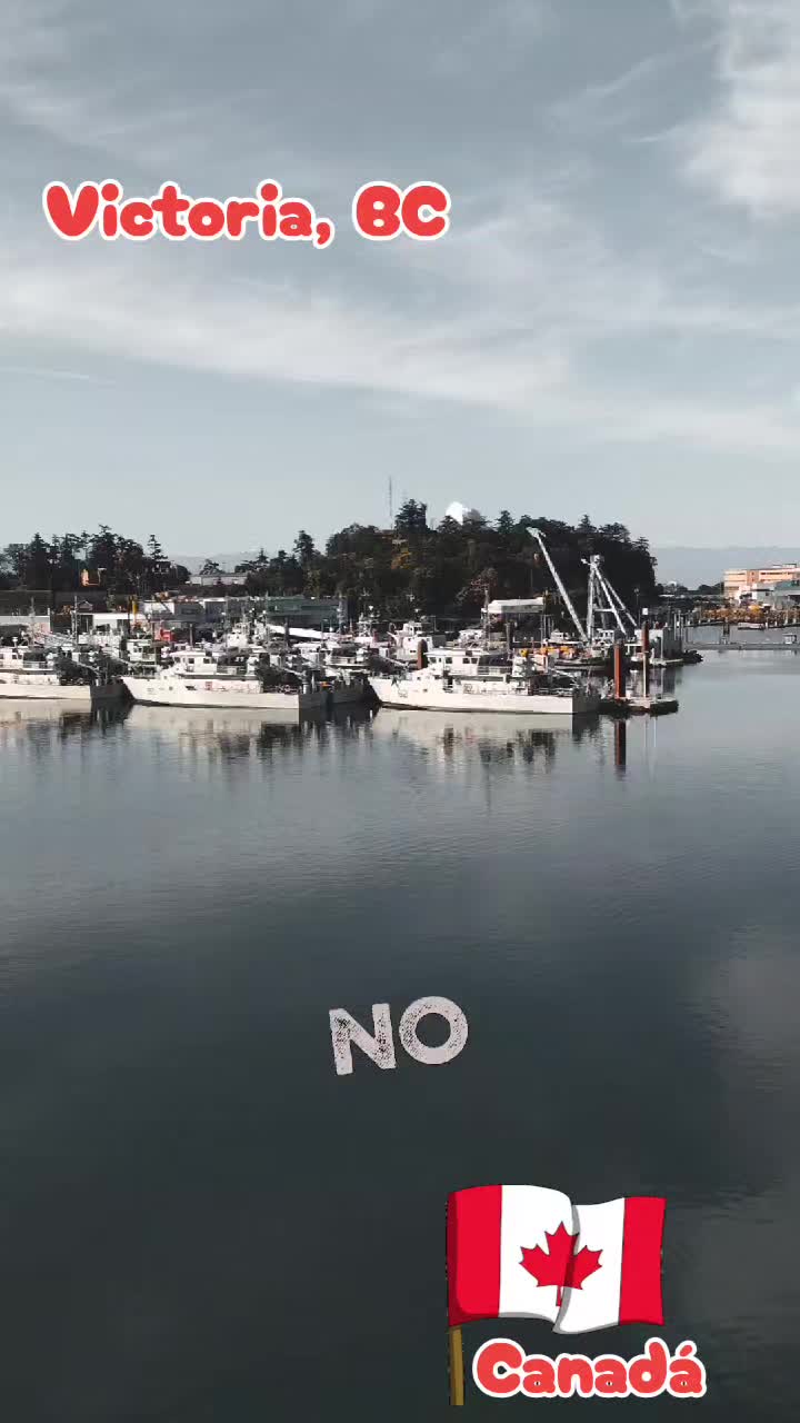 @José hipp