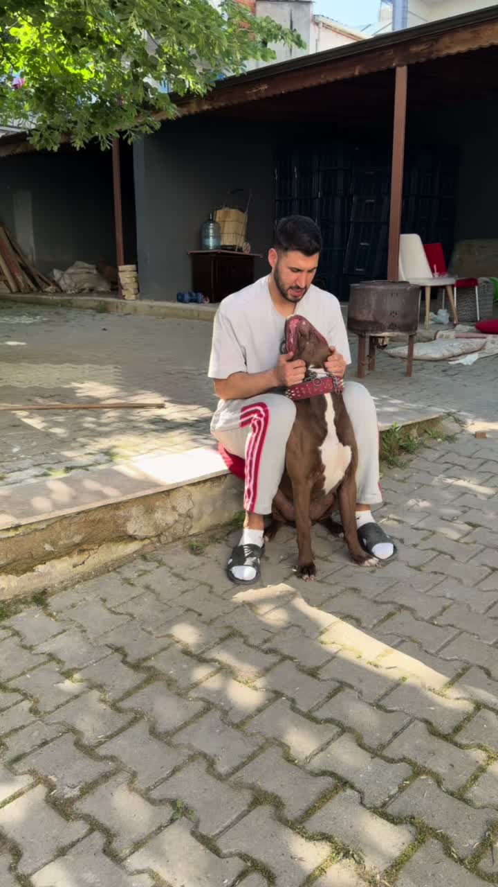 @BARUTBEYY🐶