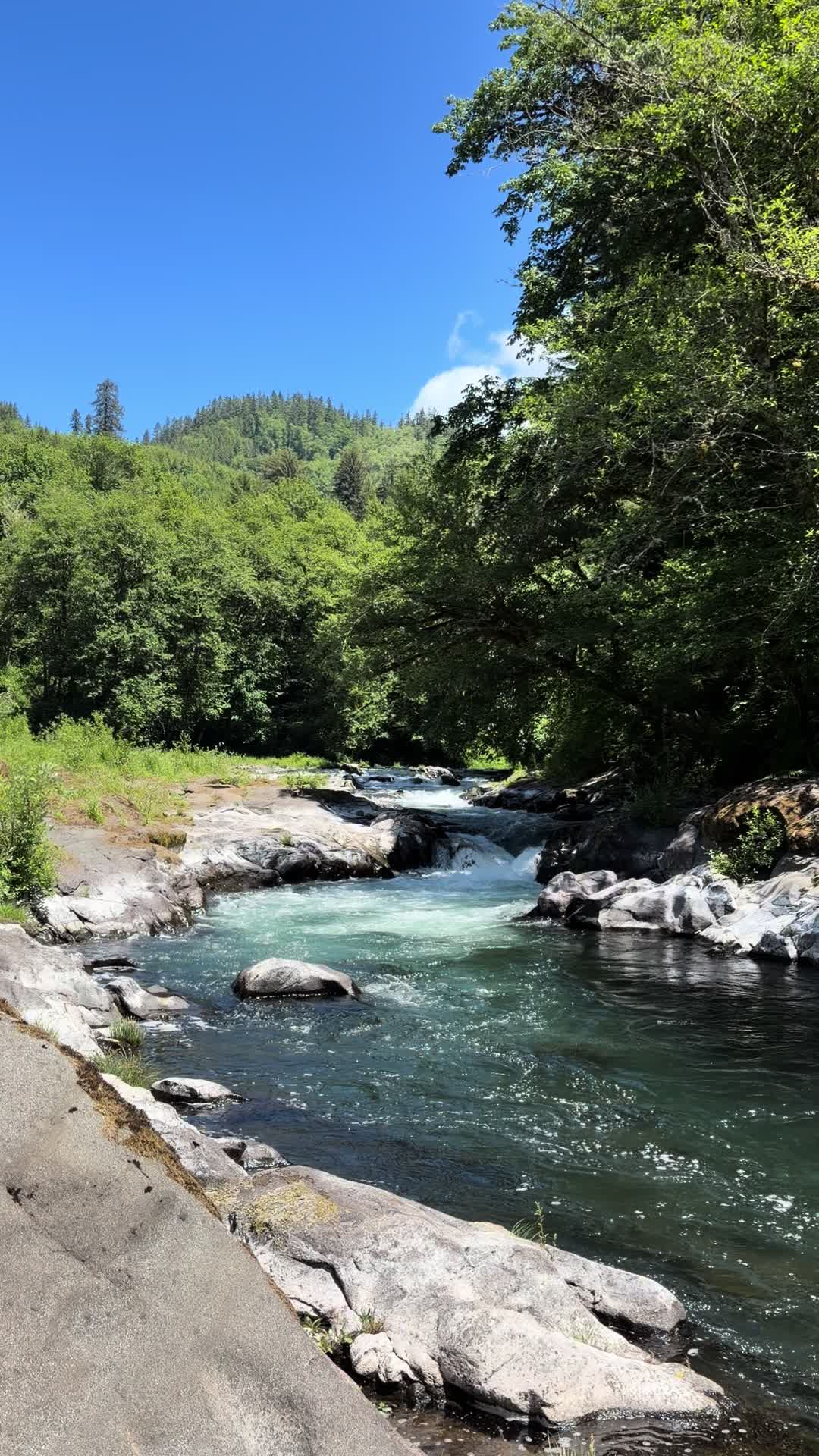 @oregonskyveek