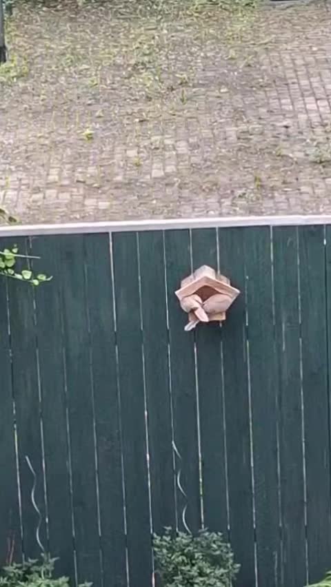 @Natur und Garten