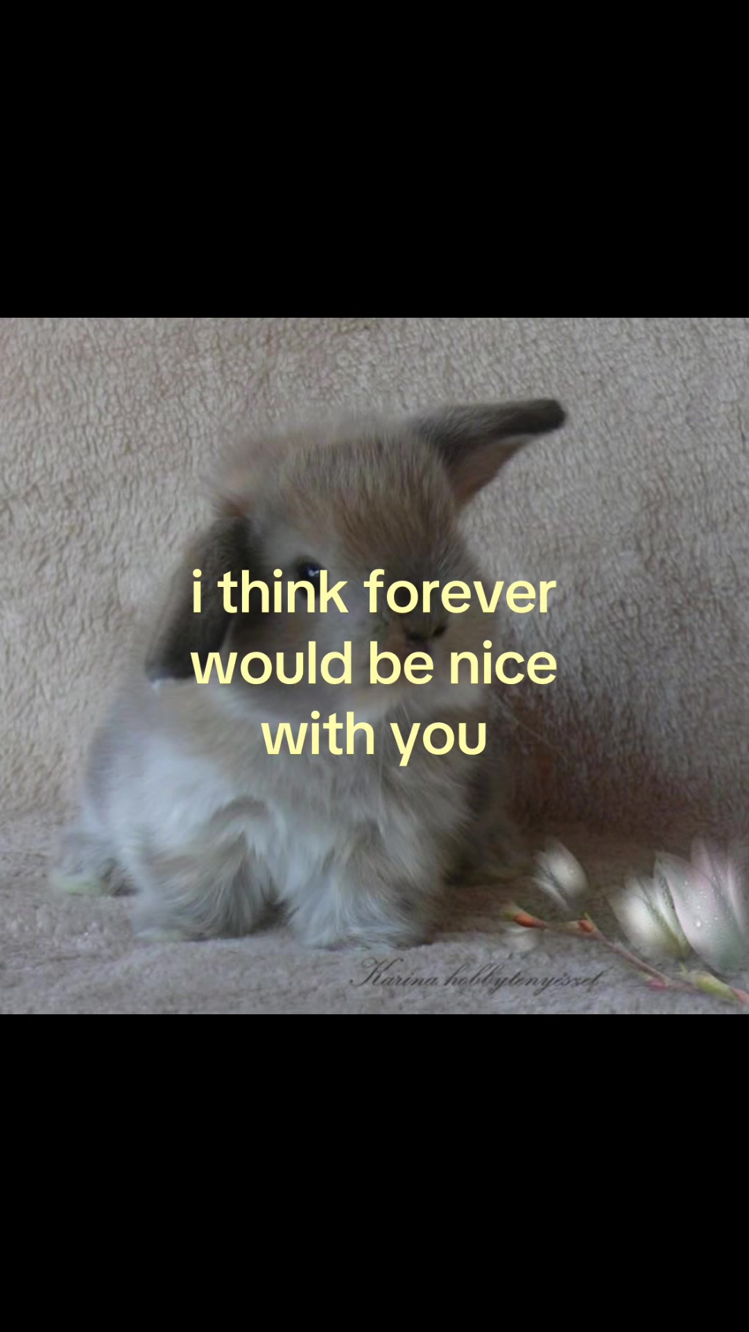 @rwnd