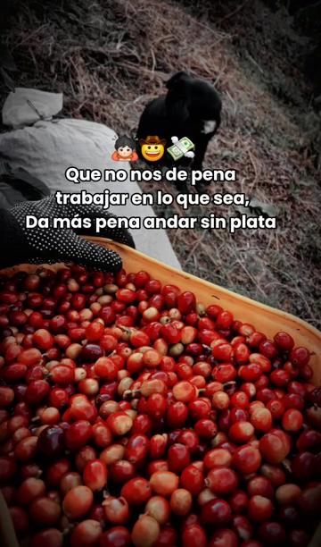 @《🧑🚀》🦋Princesita....s11💙🐣