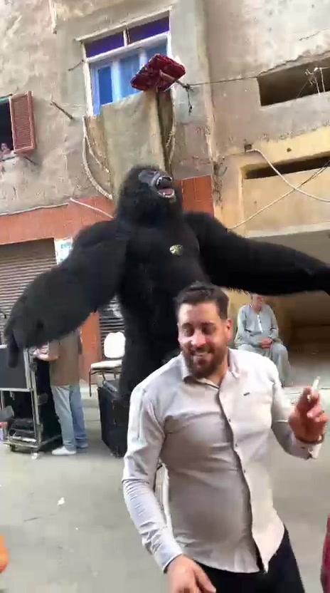 @بودا بتاع غوريلا🦍🔥