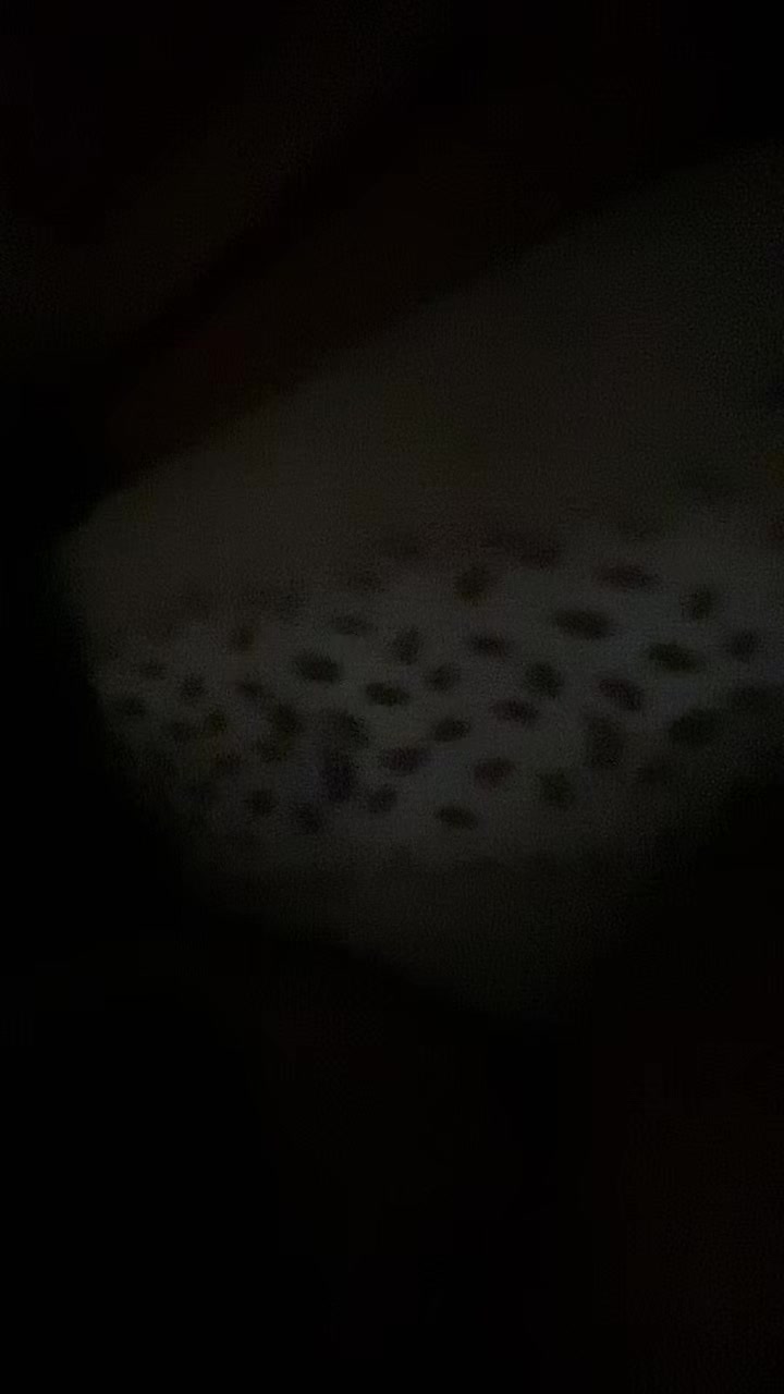 @༻𝐒𝐀𝐅𝐈༺