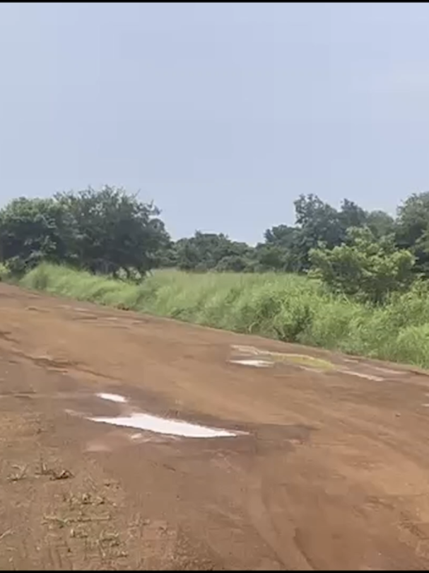 @JoyNews