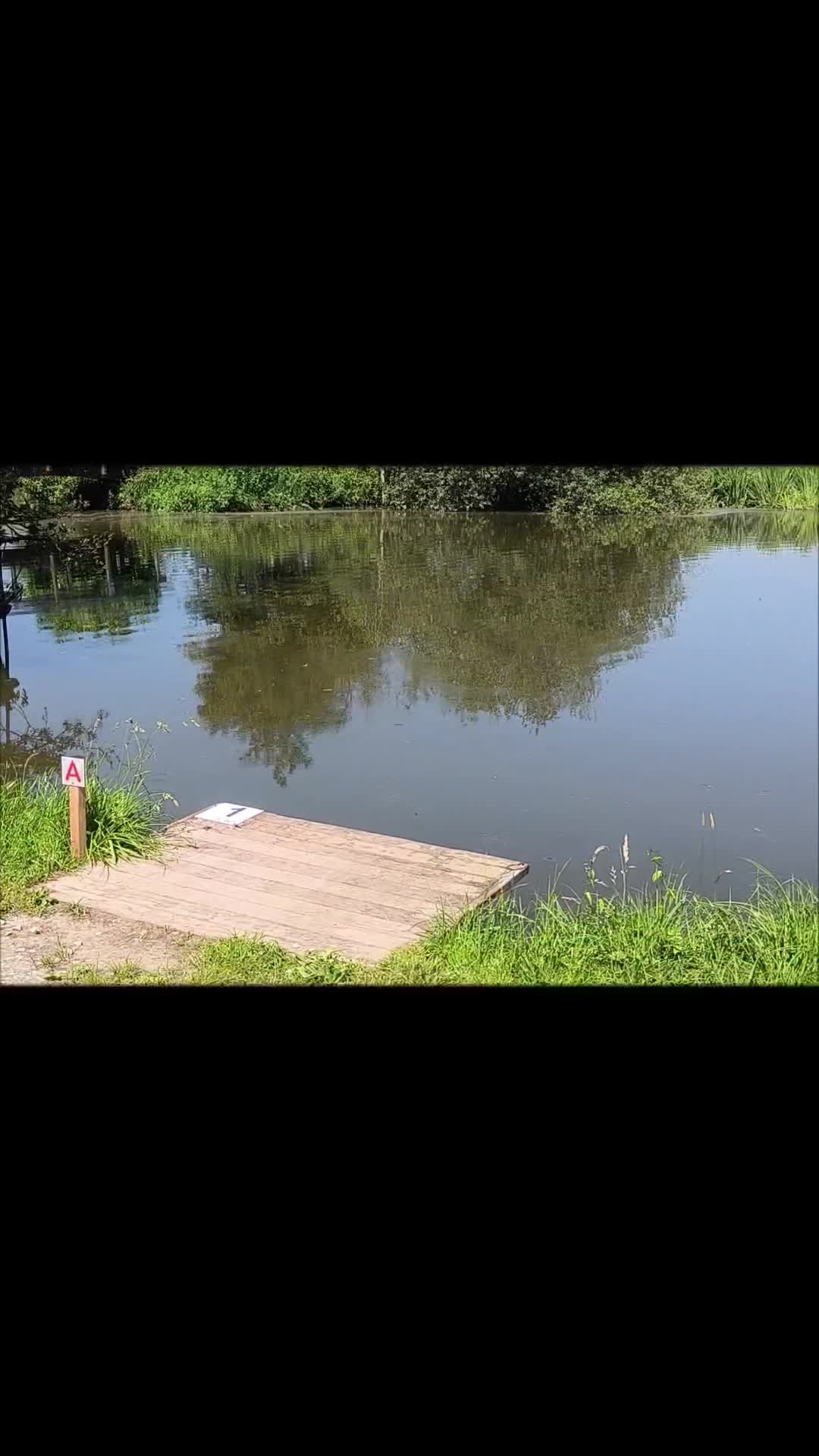 @Jocarpfishing