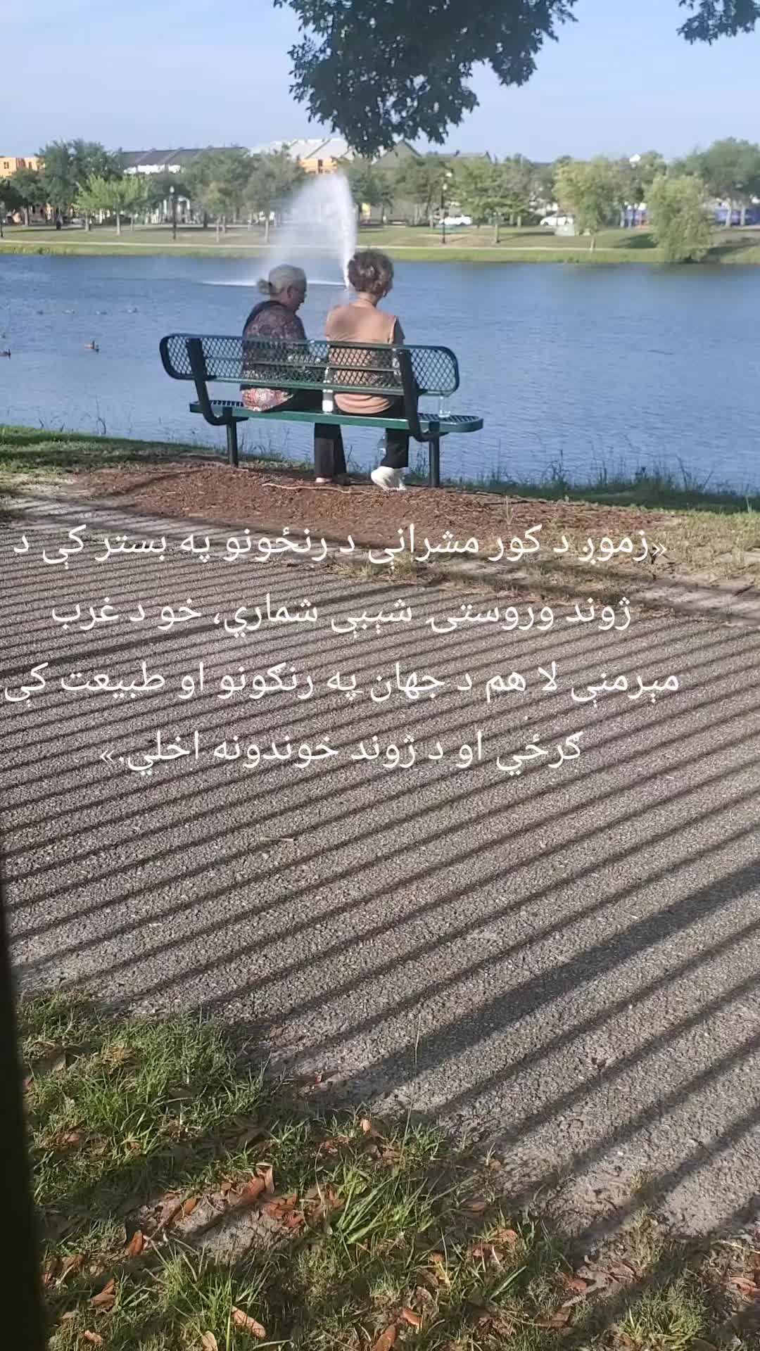 @Roheela .k shop