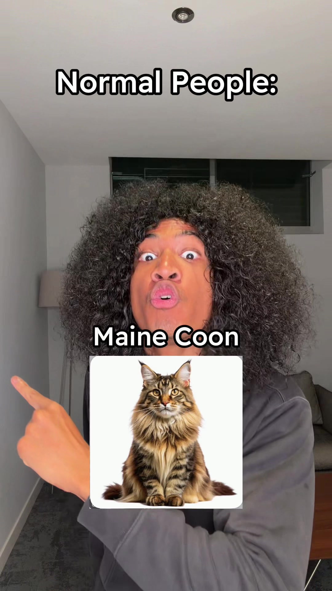 @ItssIMANNN