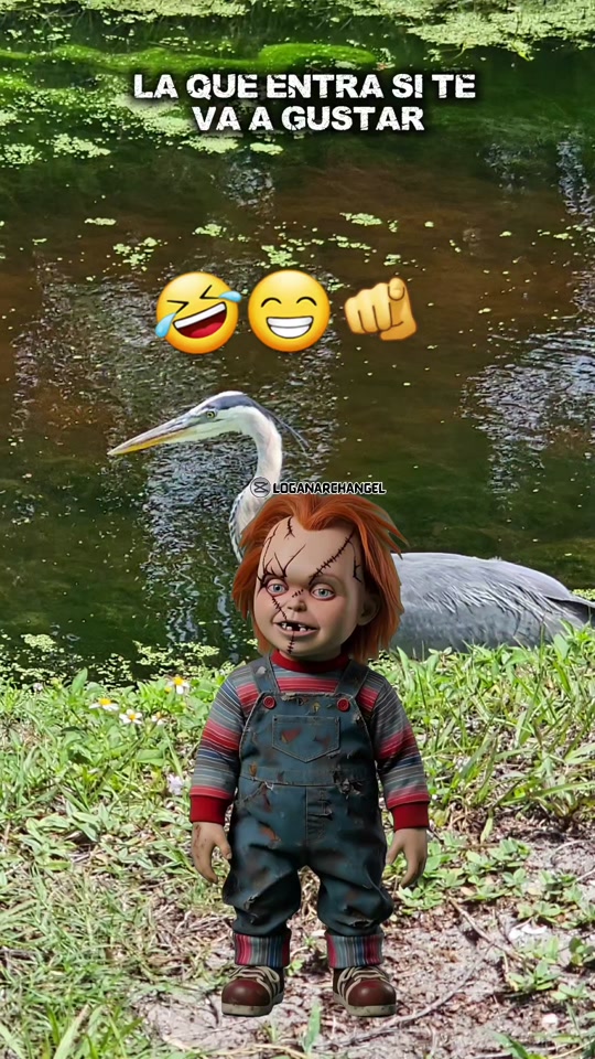 @Gabrielito 502