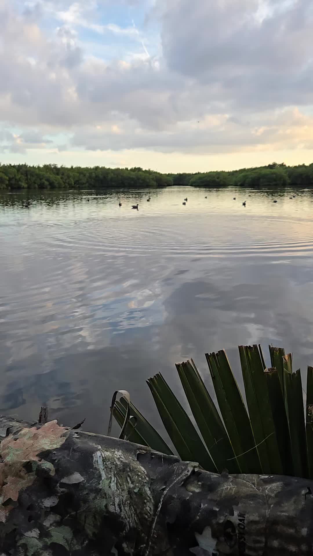 @Floridawoodsman