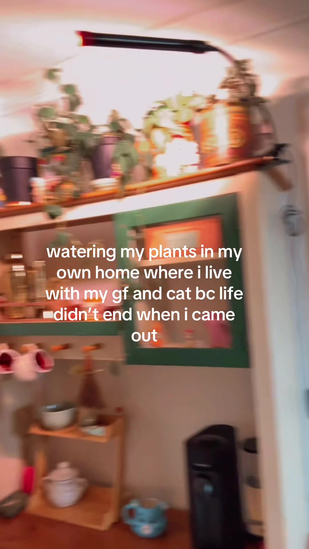 @abi