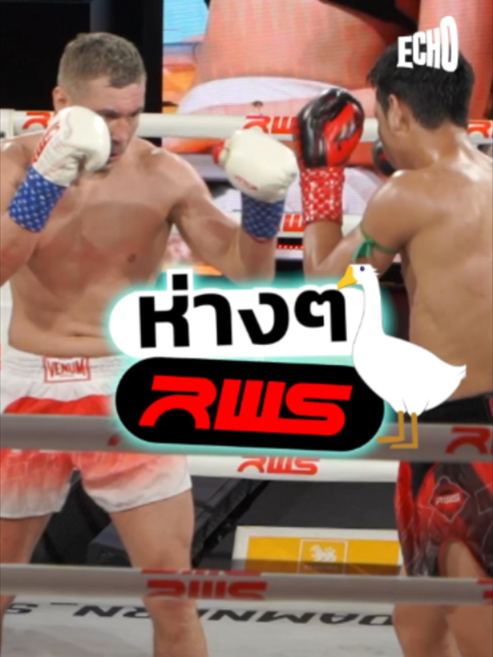 @Muay thai echo