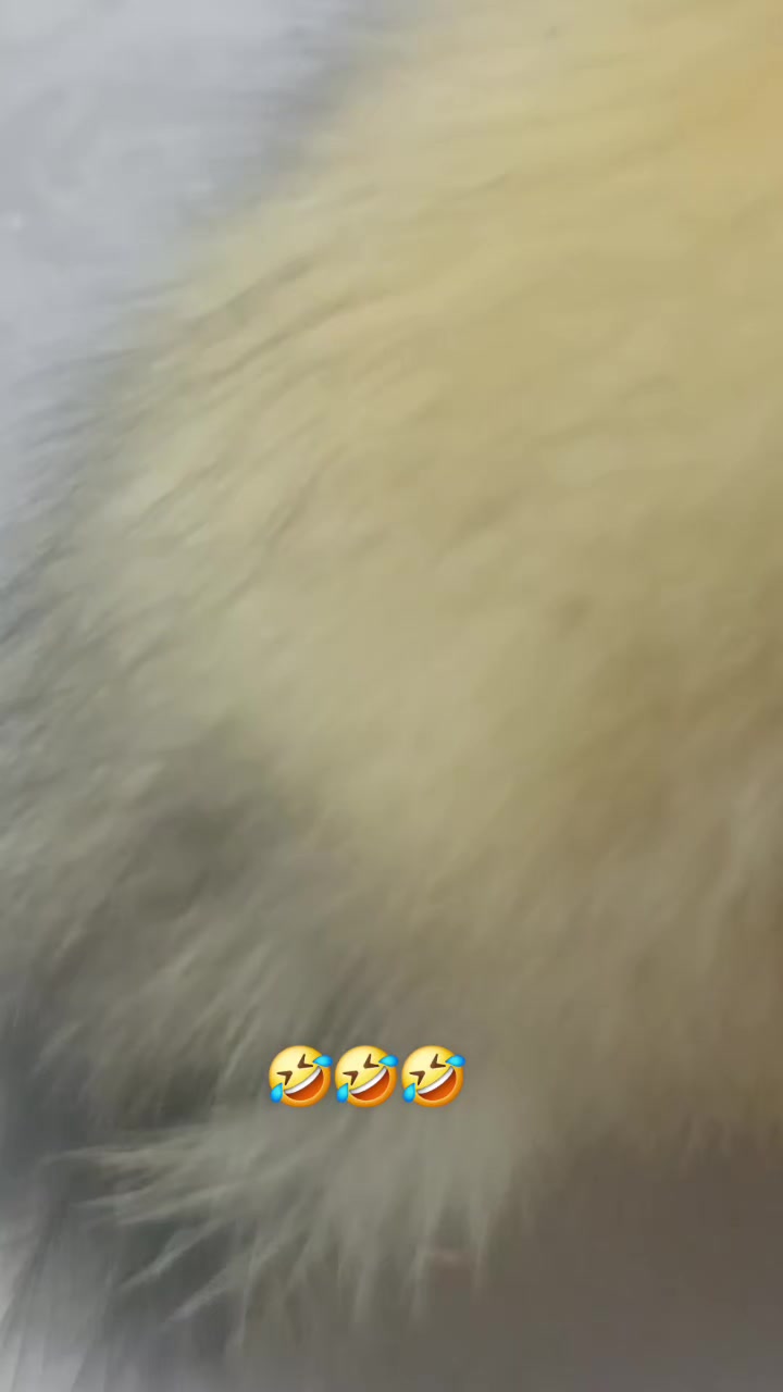 @Alex Herrera