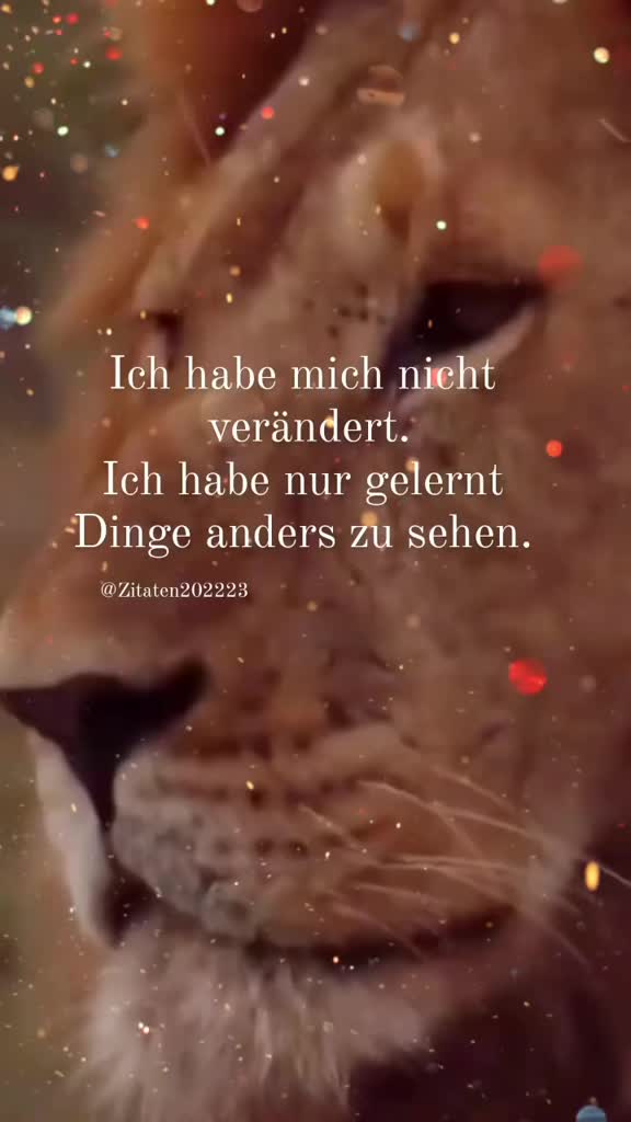 @Zitaten202223