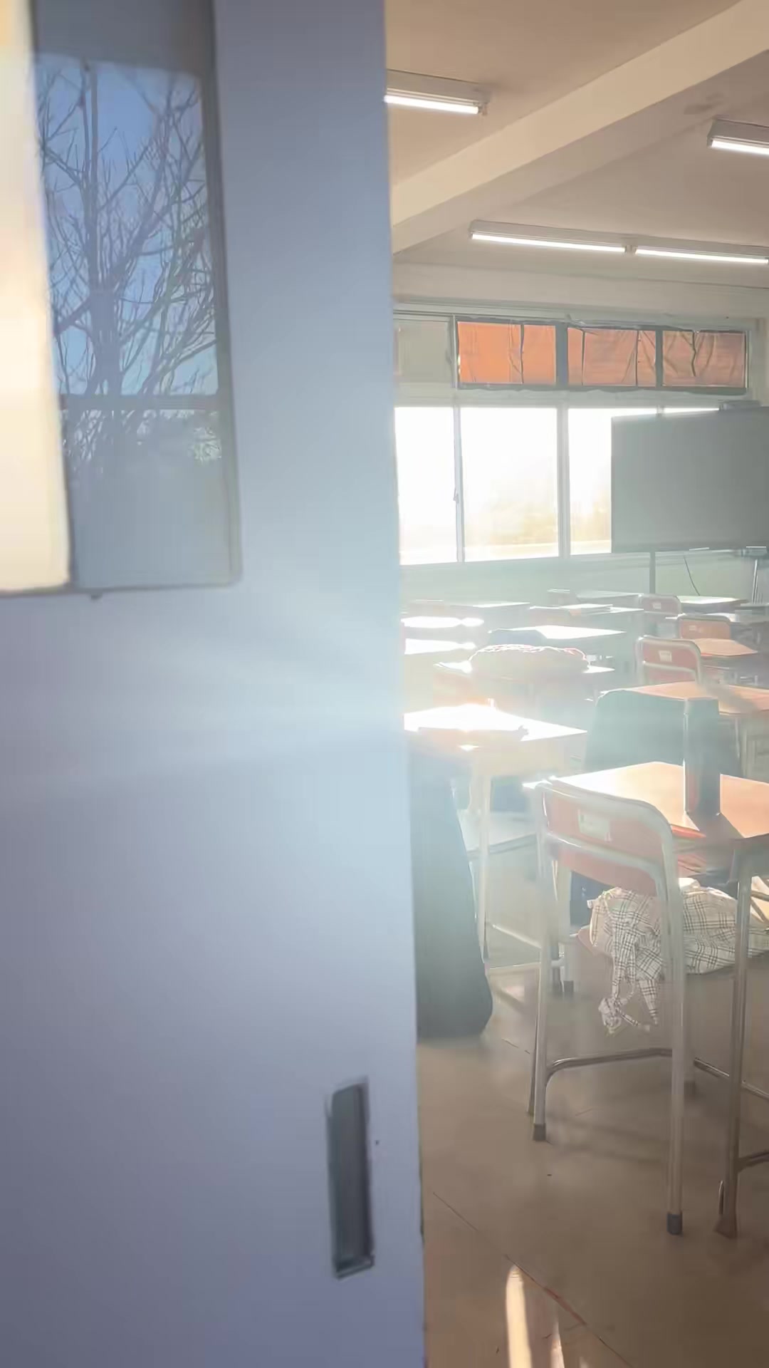 @꒰ᐢ. .ᐢ꒱