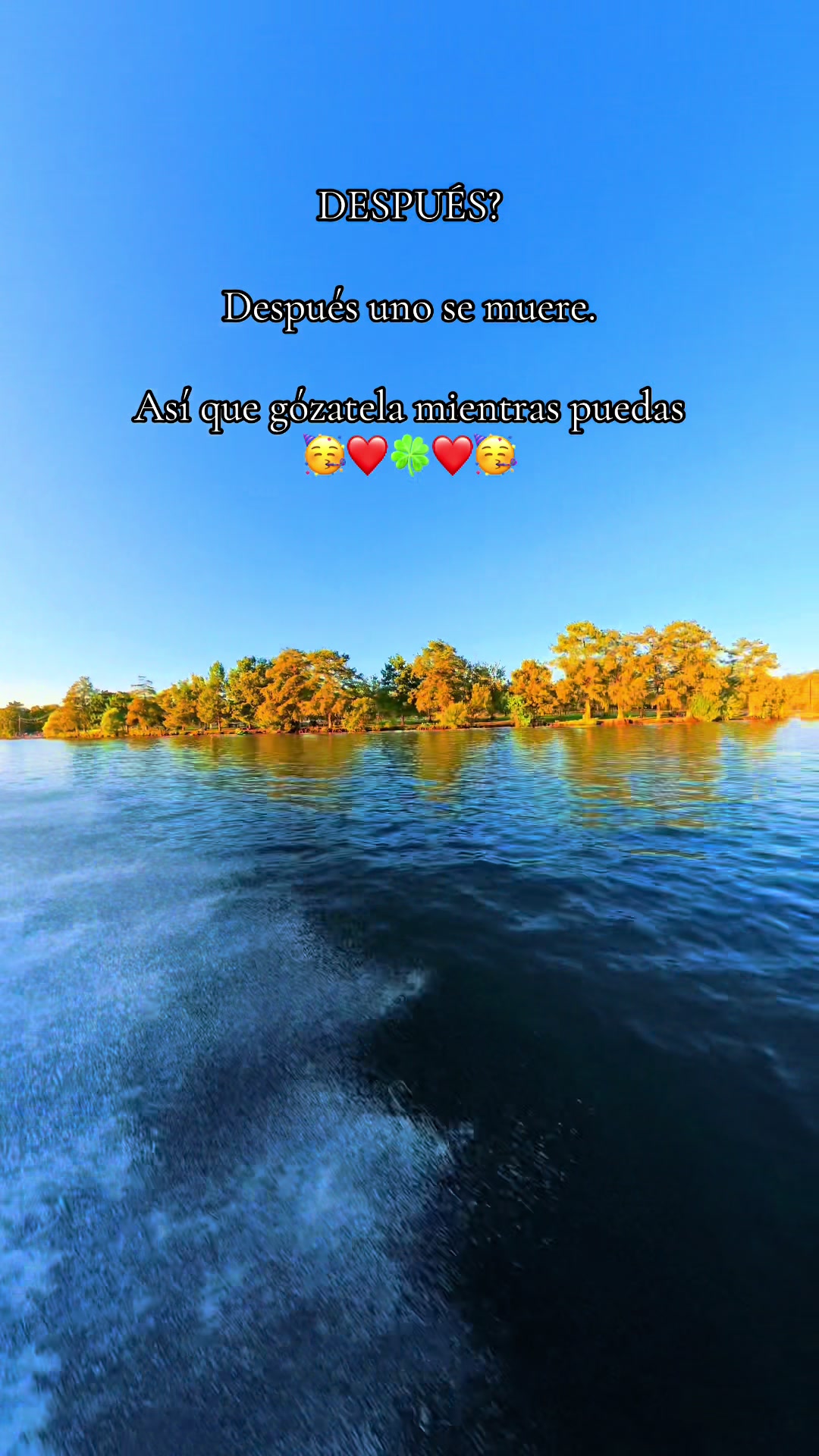 @🎙️🎶❤️MiguelGalanton1❤️🎶🎙️