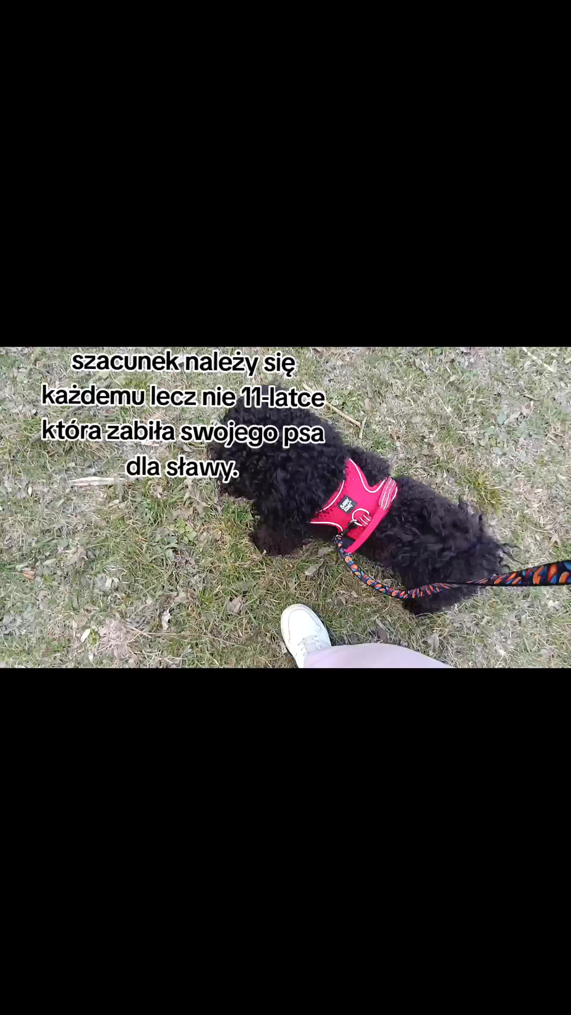 @🔥💯zvziaa_horse💯🔥