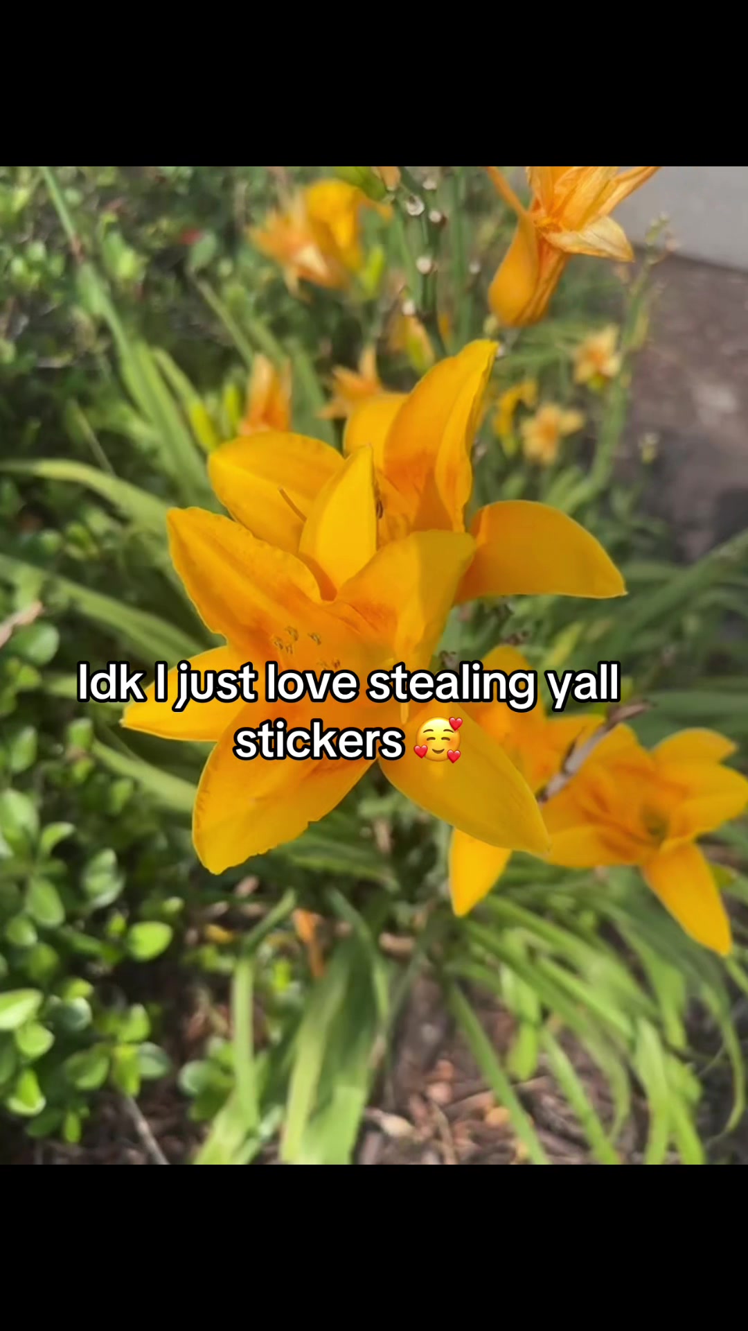 @Lilmamma💙🤭