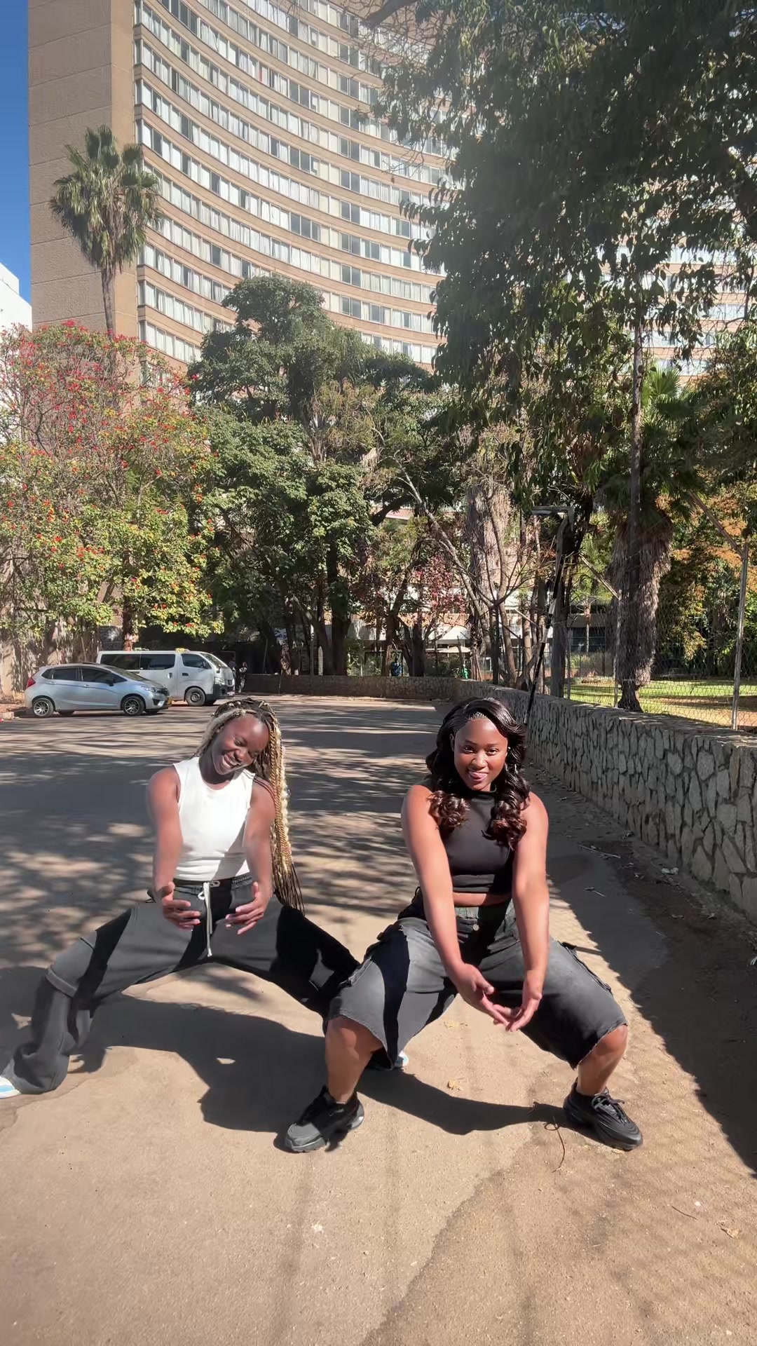 @Lissa Tanaka 🦓🇿🇼🇿🇲