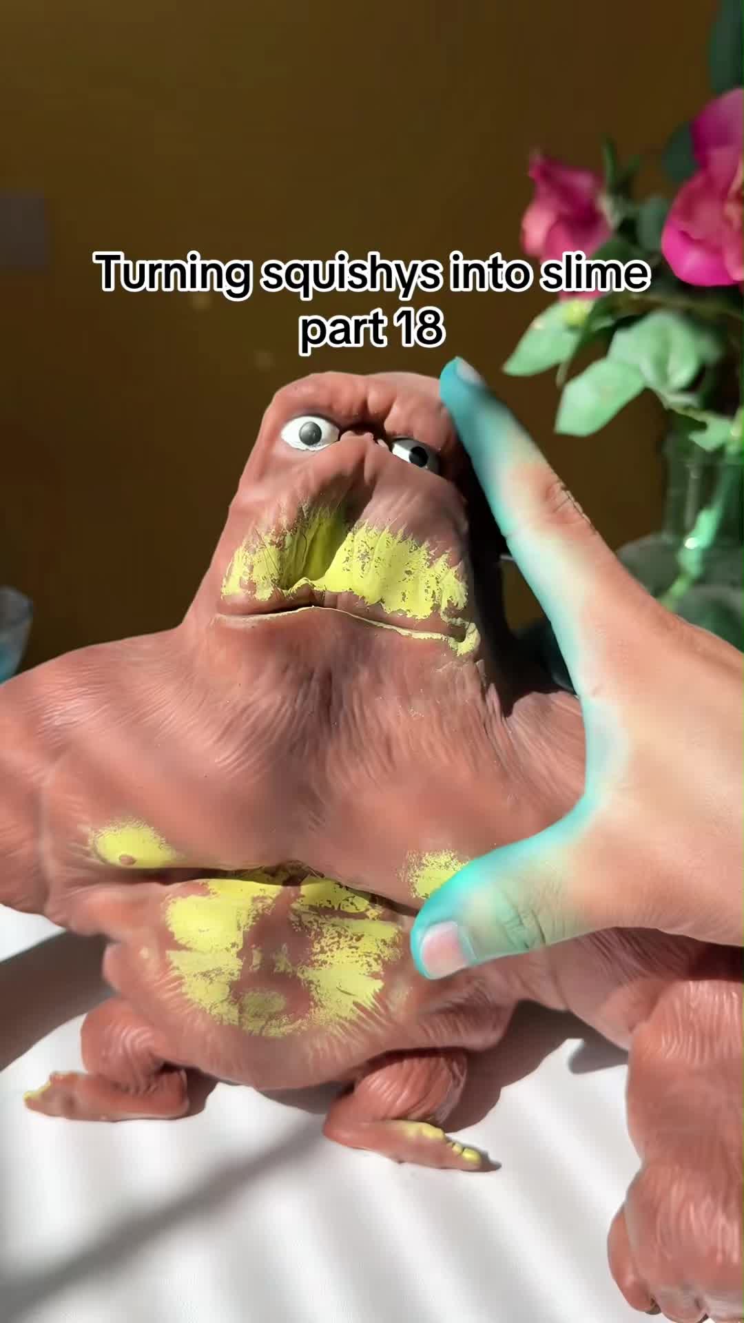 @fhchbbh