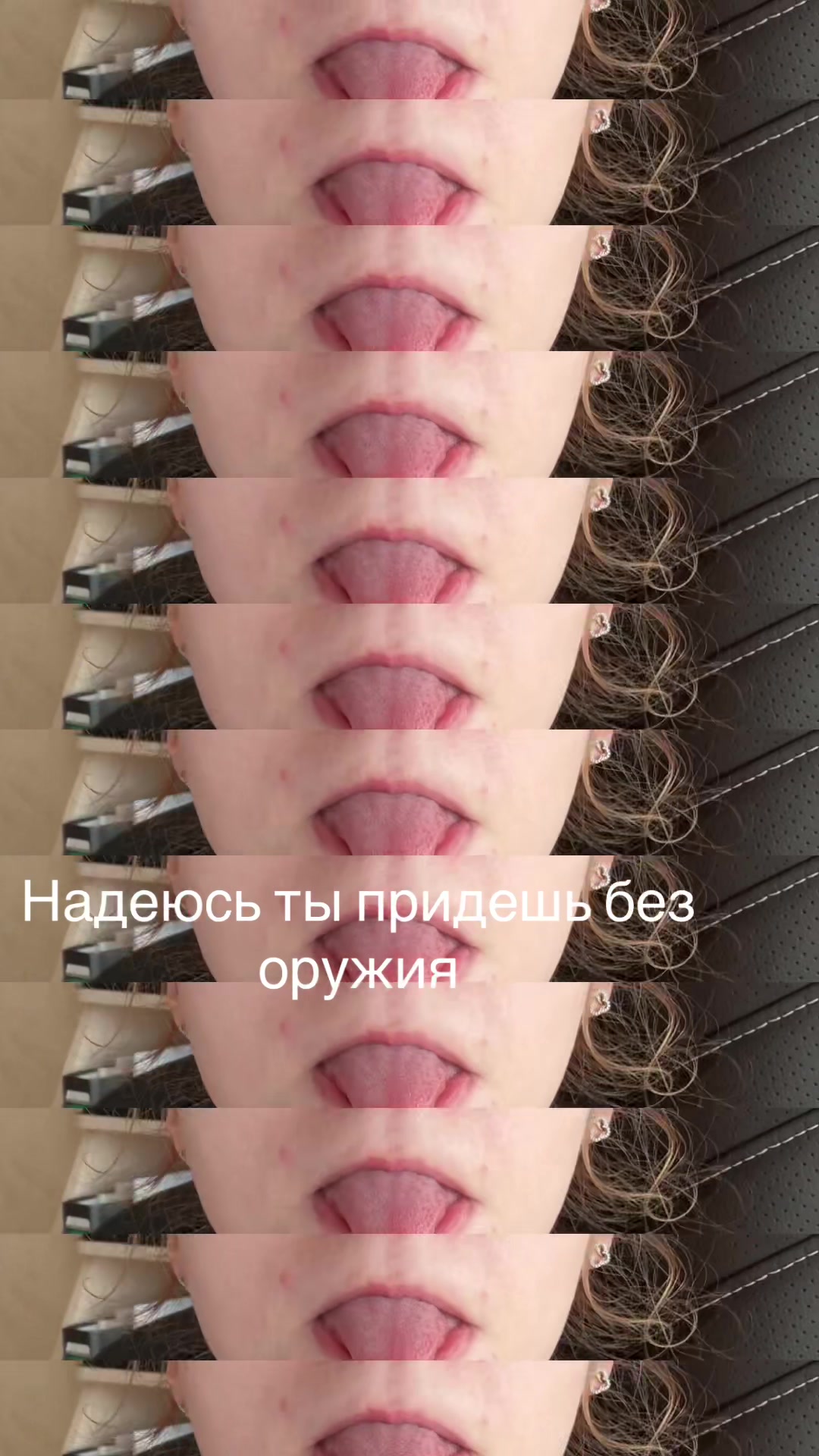 @kitekkatt