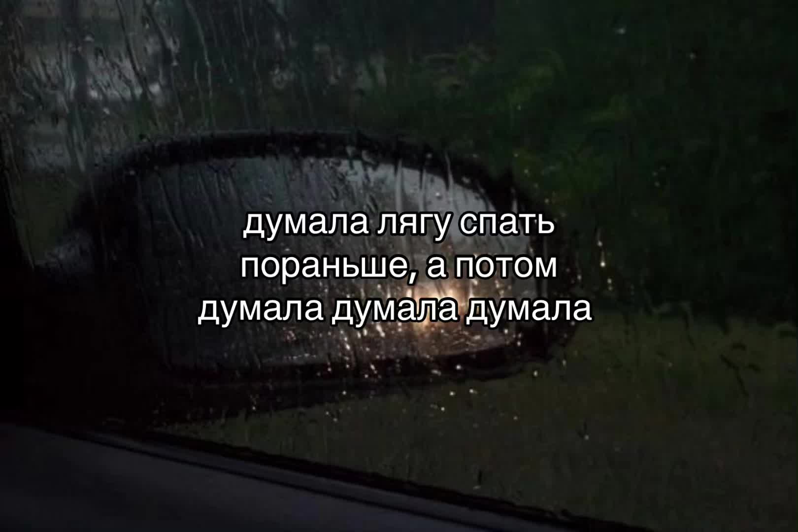 @猫🌸