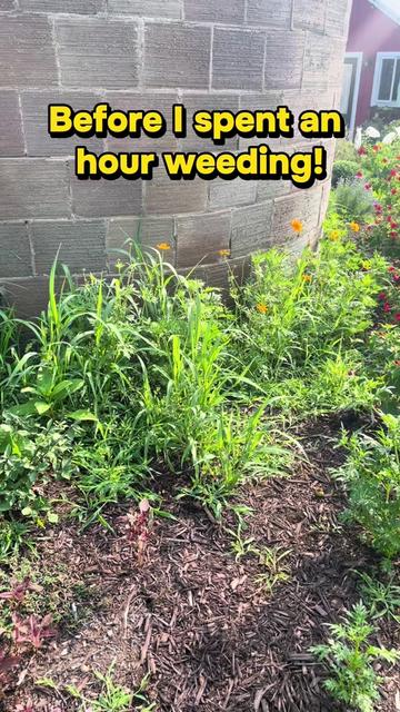 @Artistic gardening