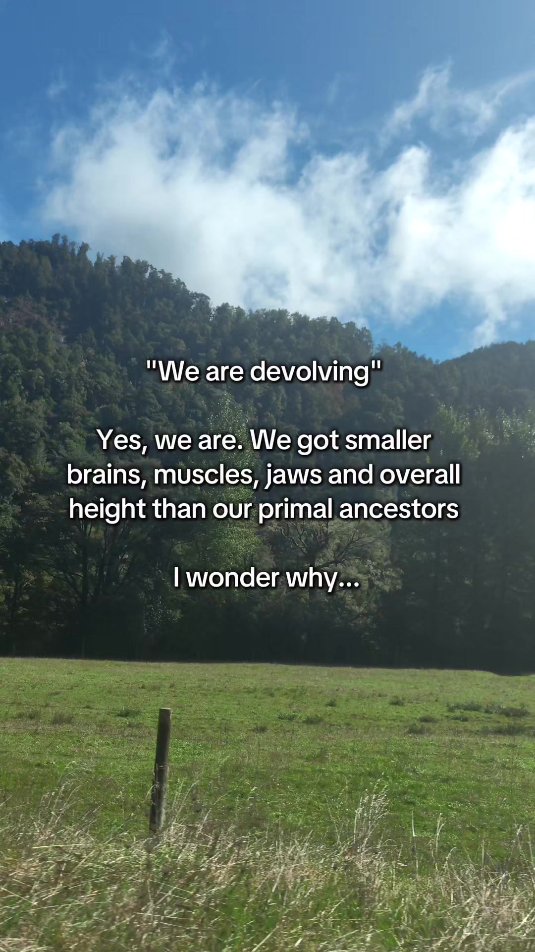 @paleonate