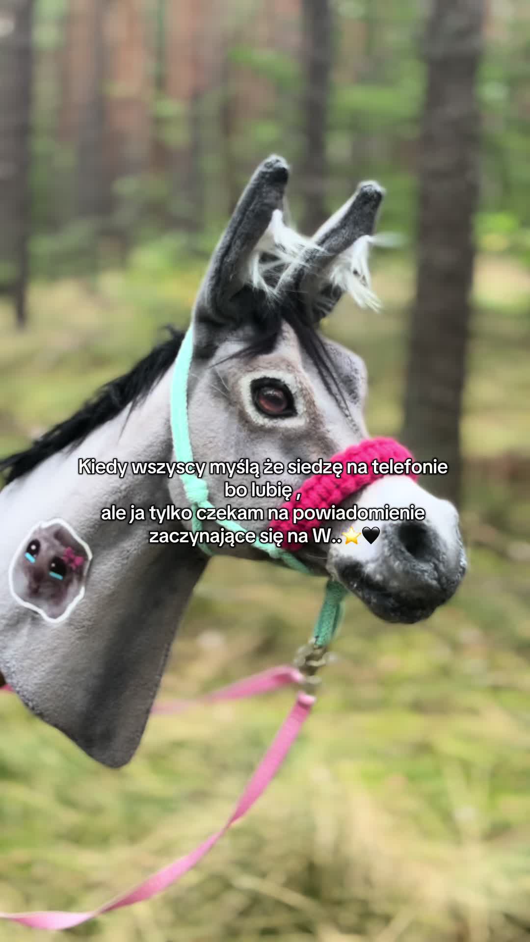 @🖤⭐️𝕍𝕚𝕧𝕠 ⭐️🖤