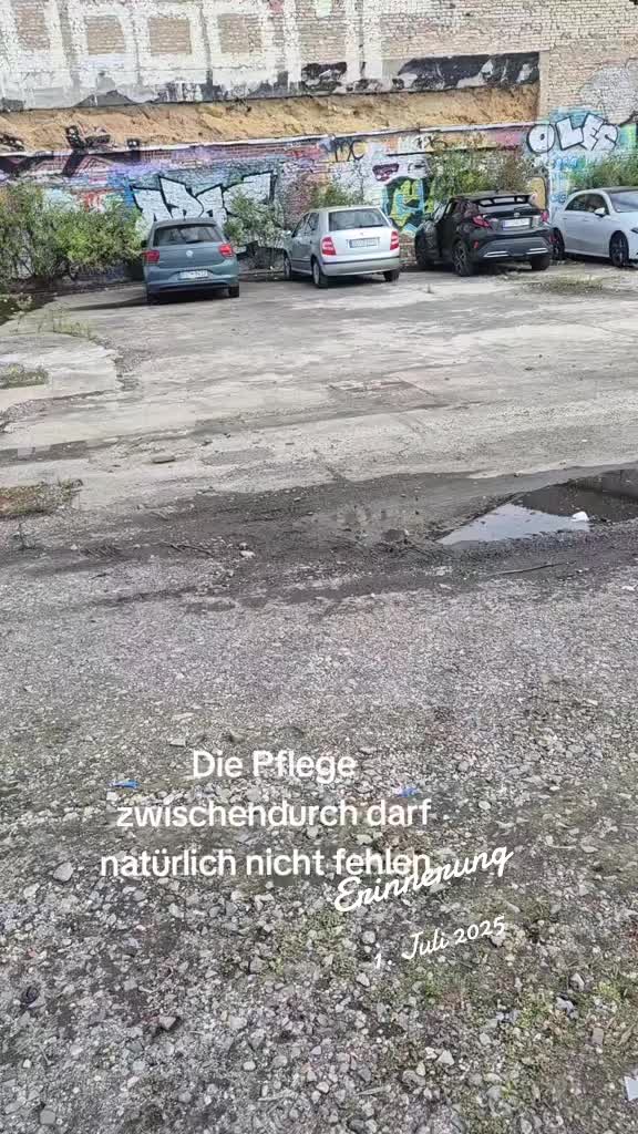 @Nordmann