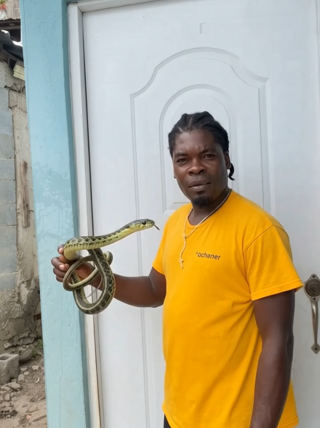 @badmanbanano