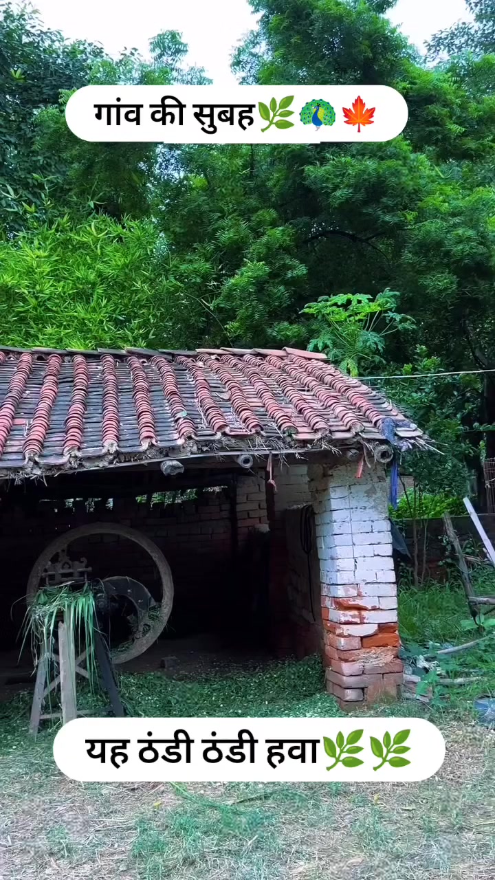 @𝐁𝐈𝐒𝐇𝐍𝐔 𝐃𝐄𝐕