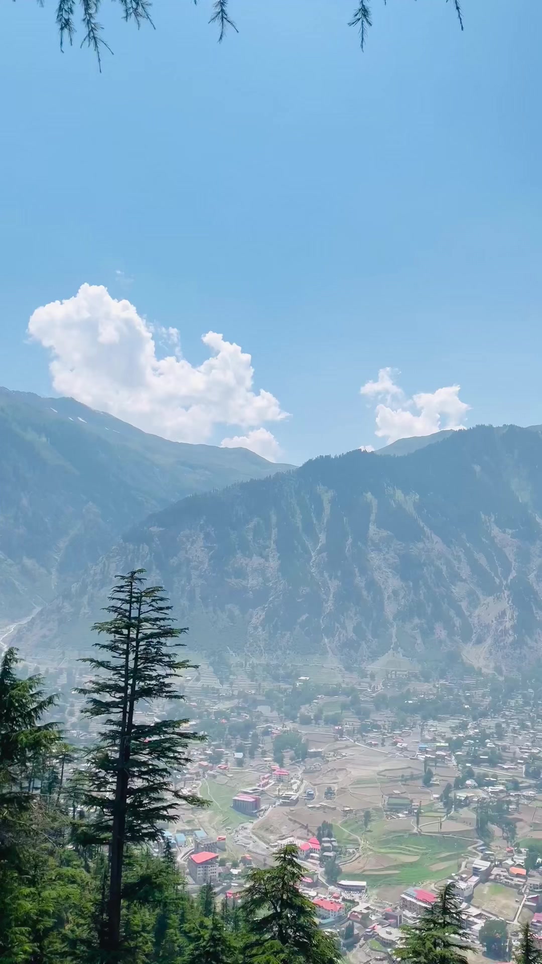 @🌿 𝐌𝐫 𝐬𝐚𝐝𝐢𝐪 🌿