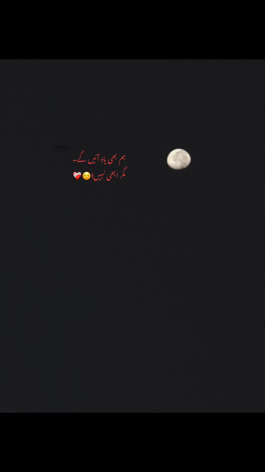 @𝖠𝗇𝗇𝗂𝖾🕸️