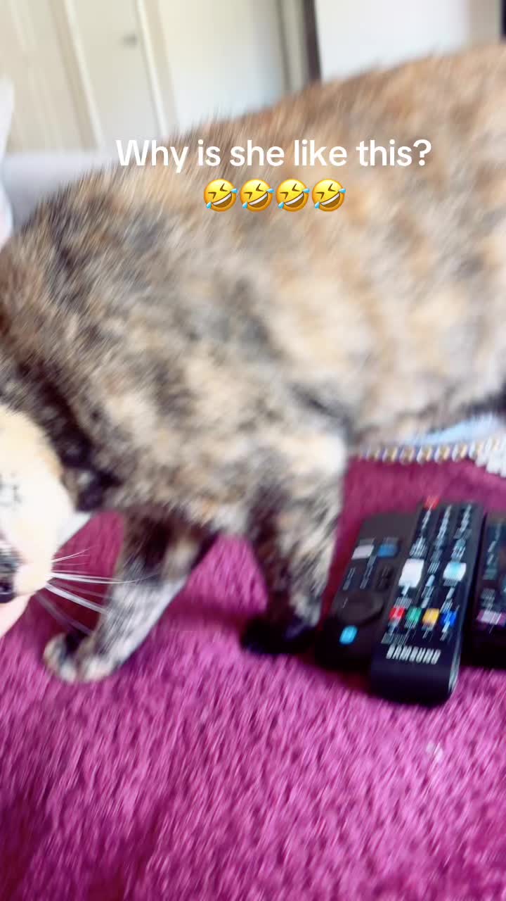 @ThatGingerGinja_✨