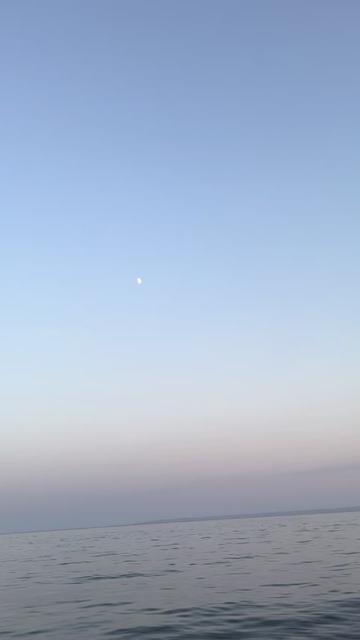 @versilia01