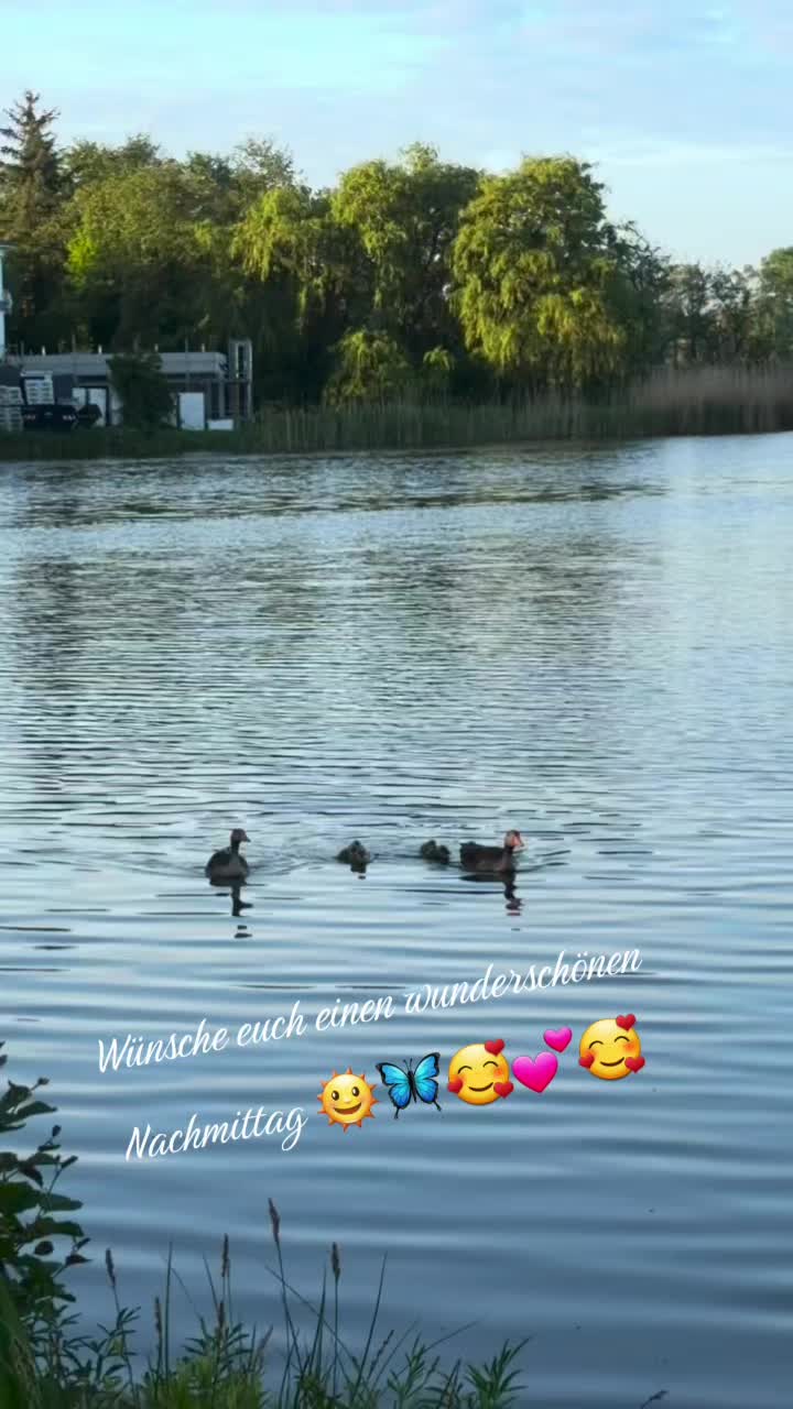 @Ich bin ich ❤🌞❤