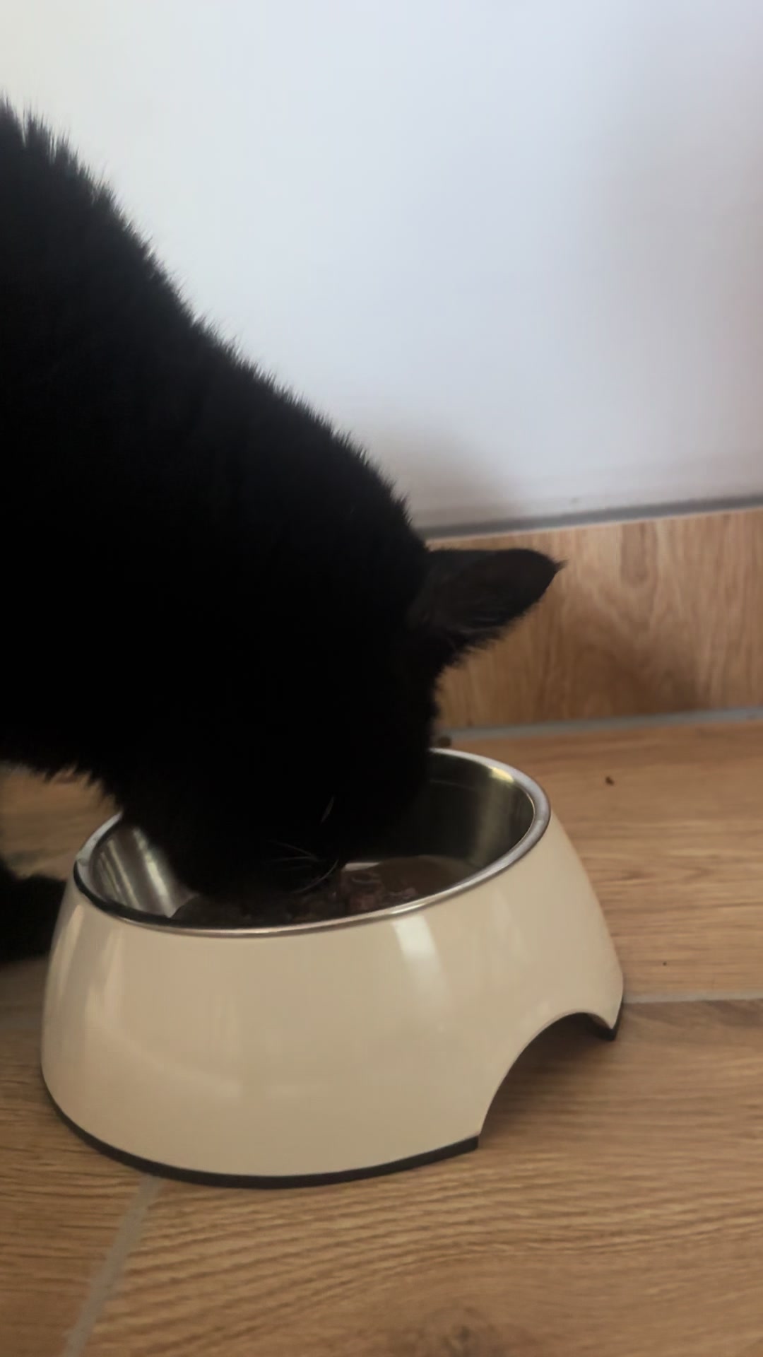@Hunde- und Katzenpension
