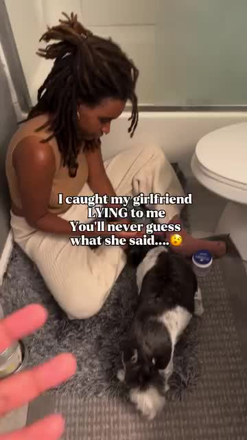 @TheCommonKitties 🐾