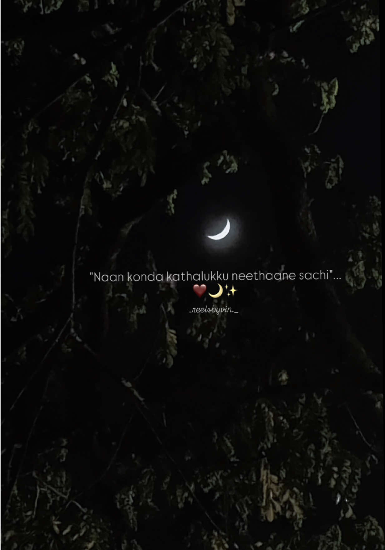 @Kavin Raj Selvaraj
