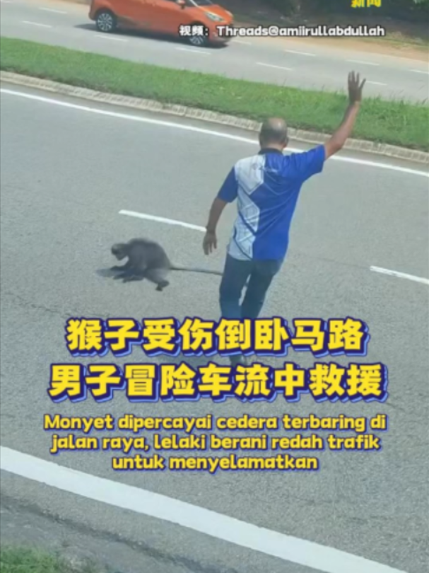 @中国报