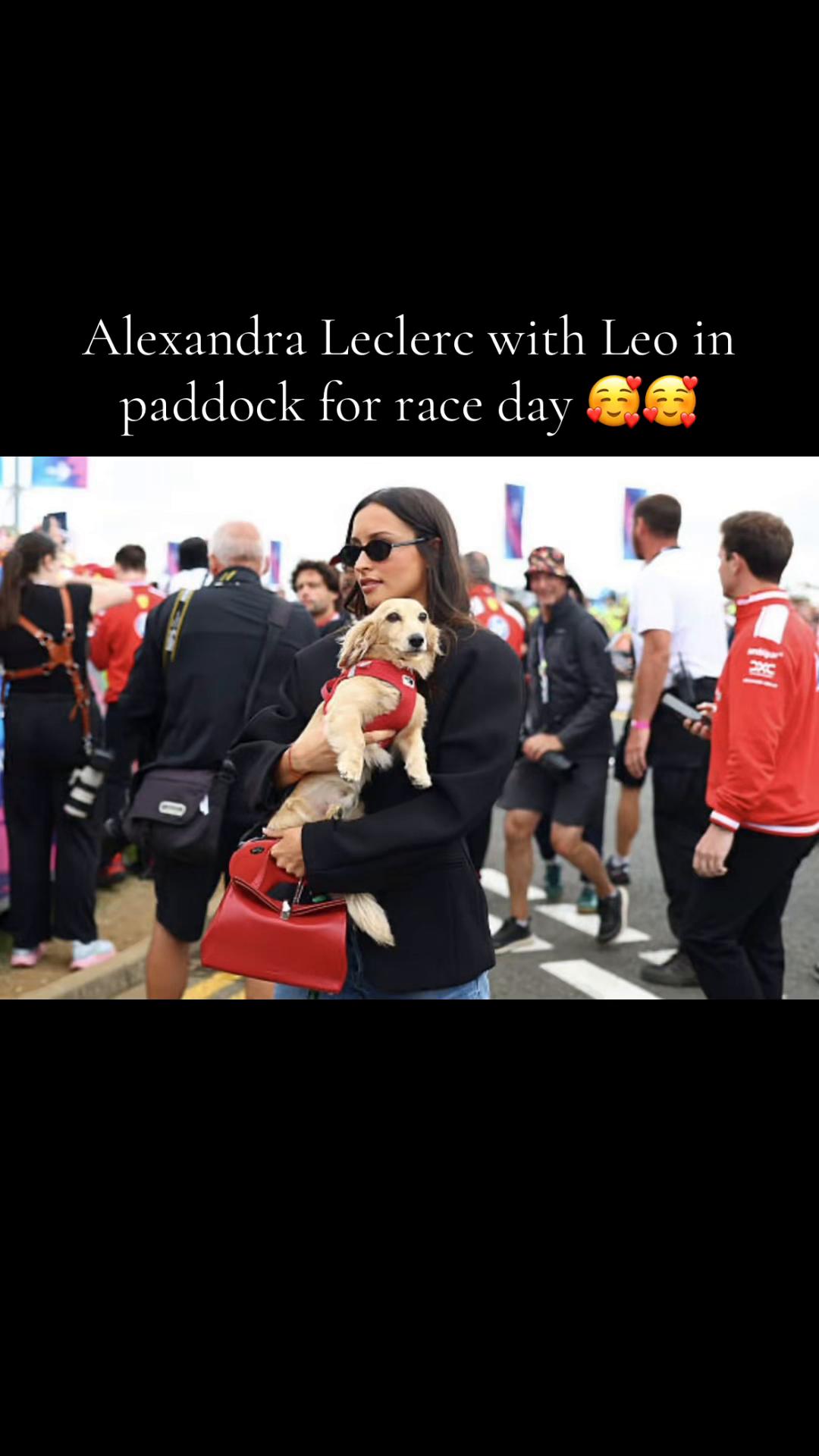 @Alexandra Leclerc 🦋🇲🇽