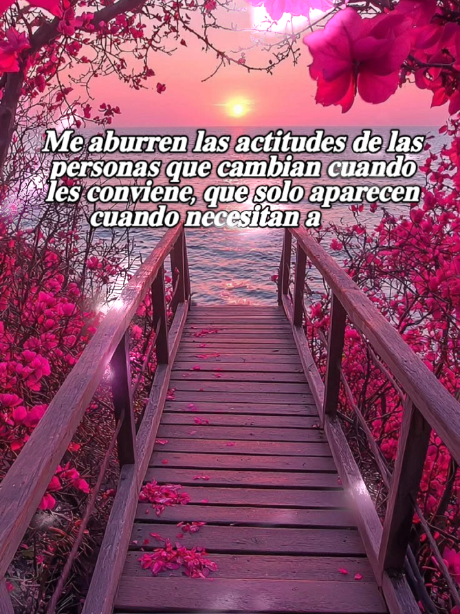 @✨Carlos 👍✨