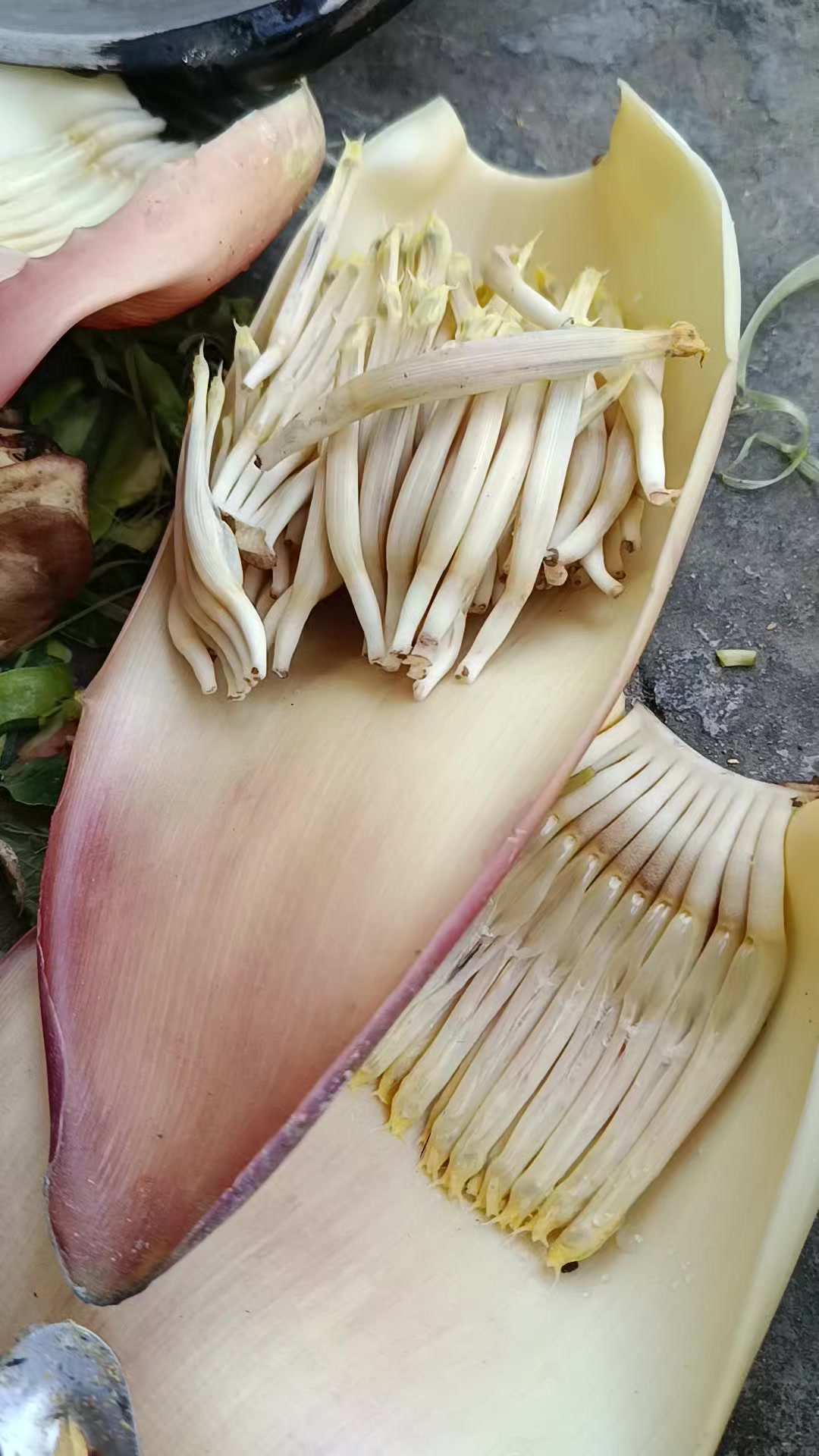 @ð
ð
ð
Ļð
ð
ð
ð
Īð
ð
ð
Ą ðĩ