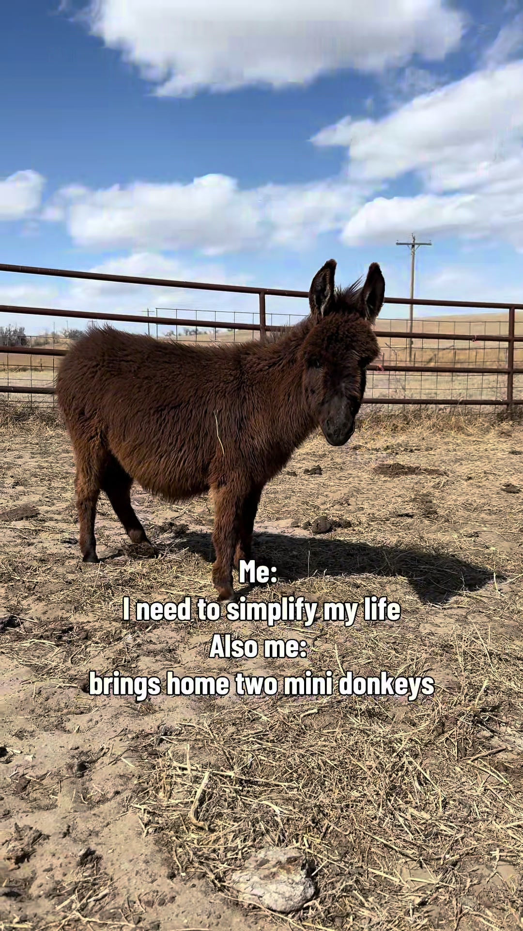 @Sandy Acres Farm