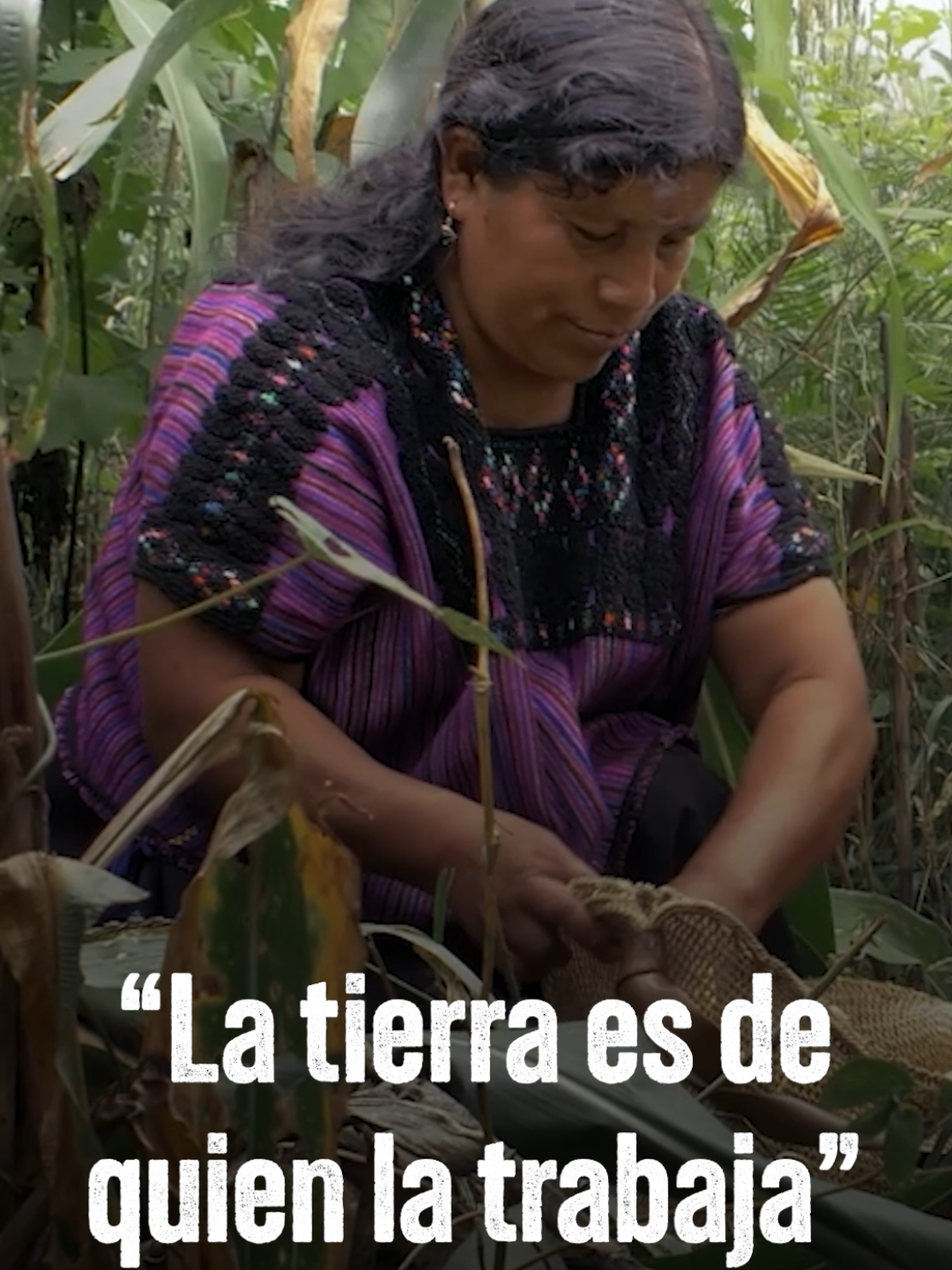 @Artegios Distribución