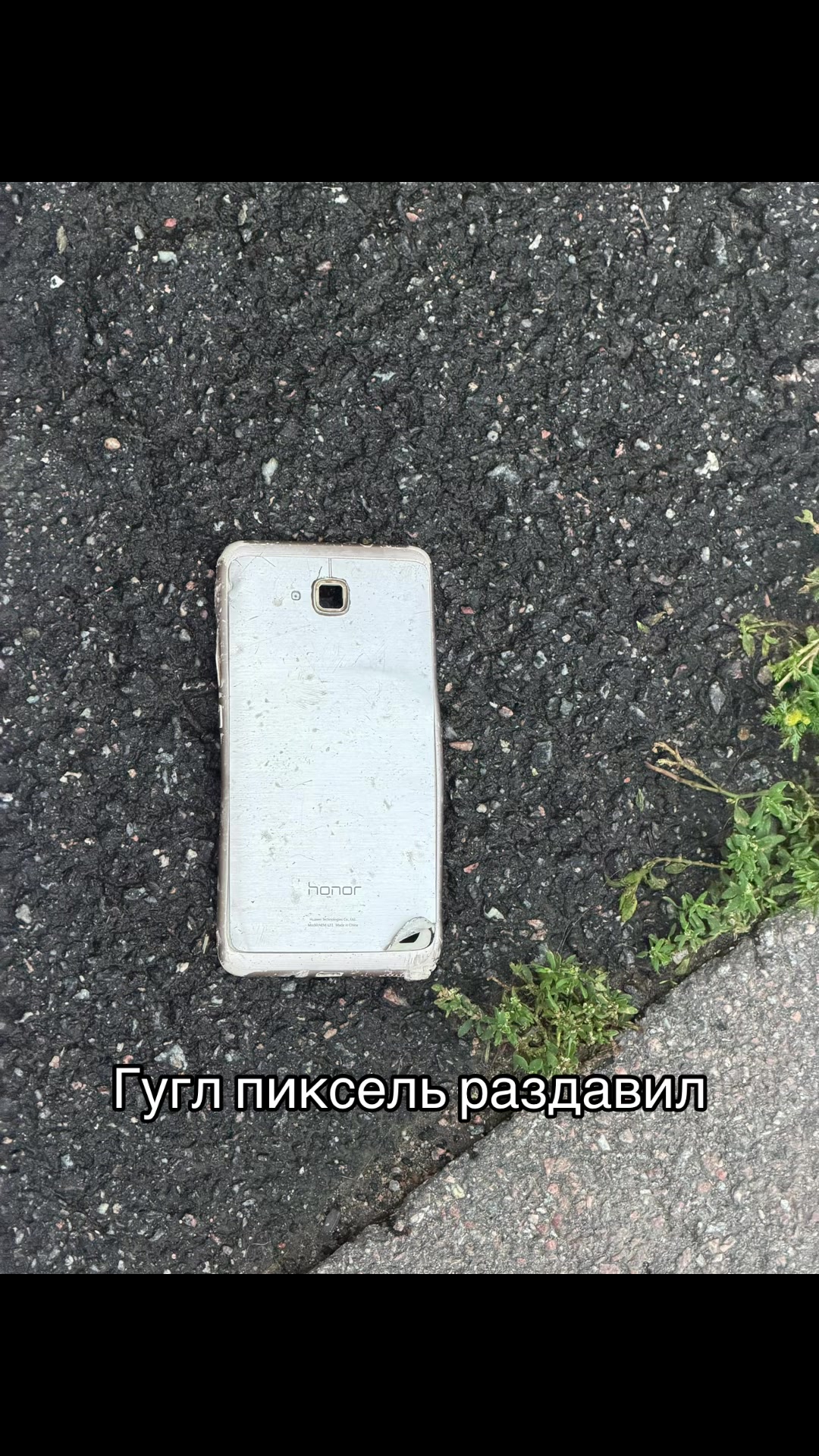 @Вероничка