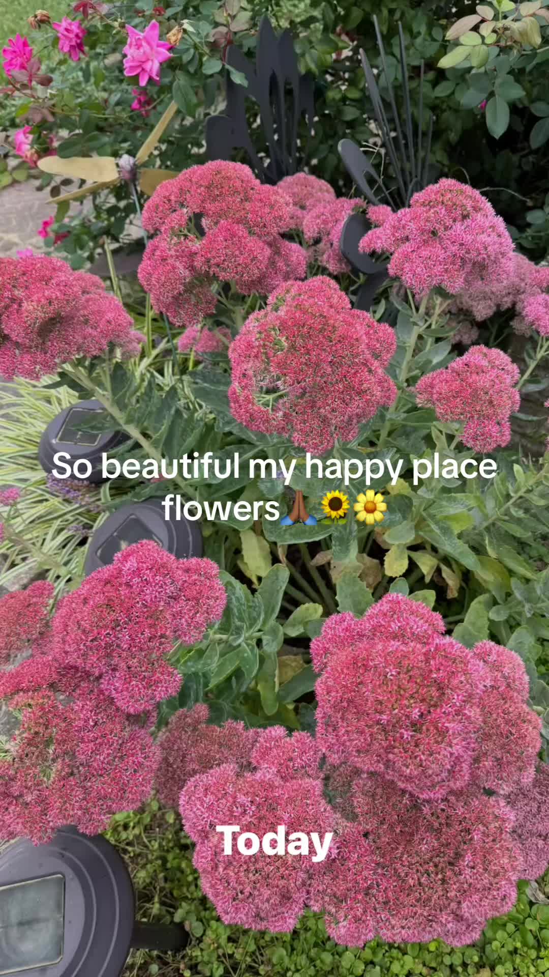 @prettypaulette66