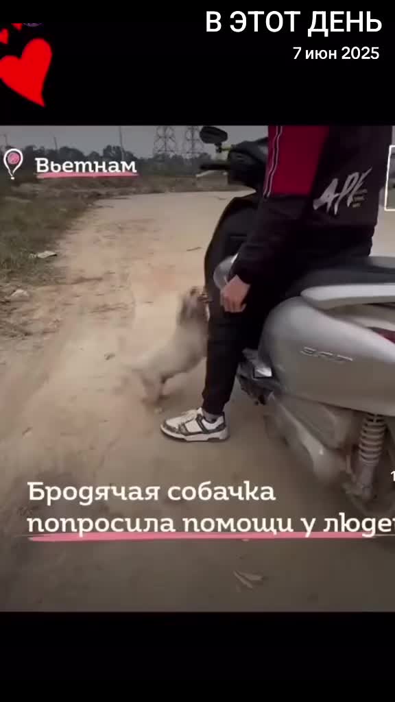 @Марина🤍🕊